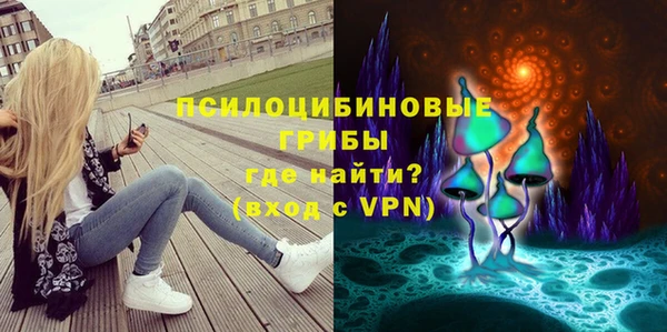 ALPHA PVP Белокуриха