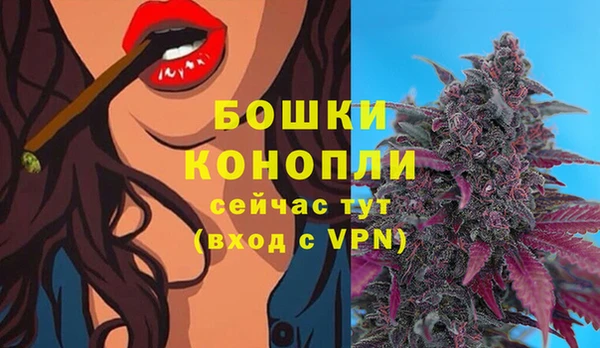 ALPHA PVP Белокуриха